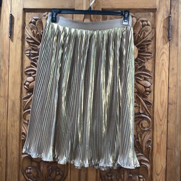 salon studio Dresses & Skirts - EUC Salon Studio large petite gold plisse skirt